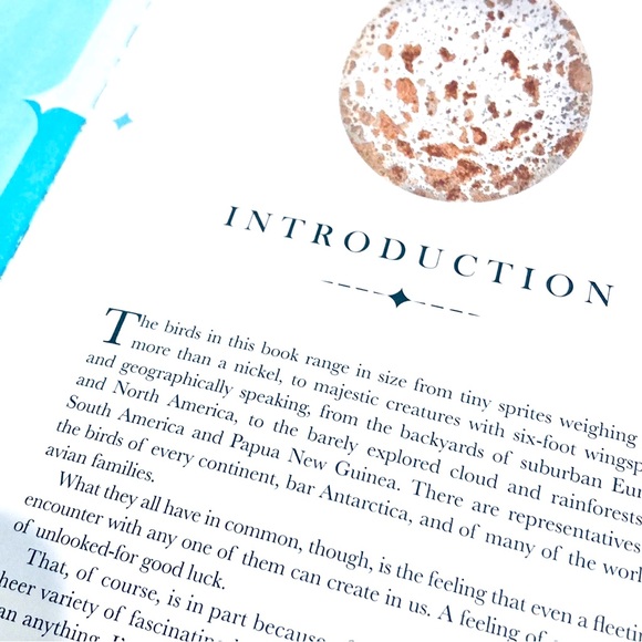 The Aviary by Matt Merritt Press Out Bird Book ISBN 978-1-6842-578-4 - Picture 3 of 8